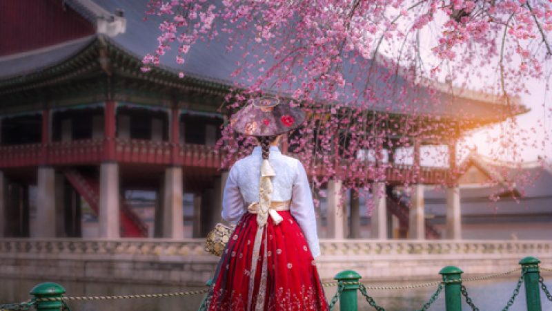 נוף קוריאה הדרומית טיול אותנטי כשר עם גלי ינאי