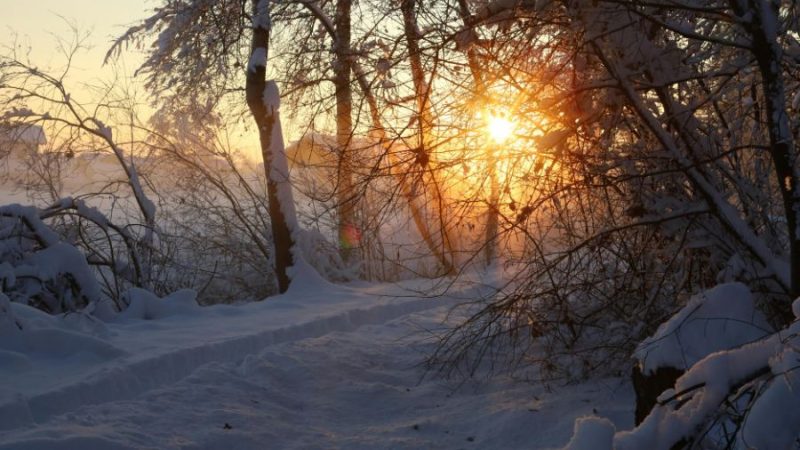 מיתוסים חורפיים מרתקים שיחממו את הלב | גלי ינאי חוויה אותנטית כשרה